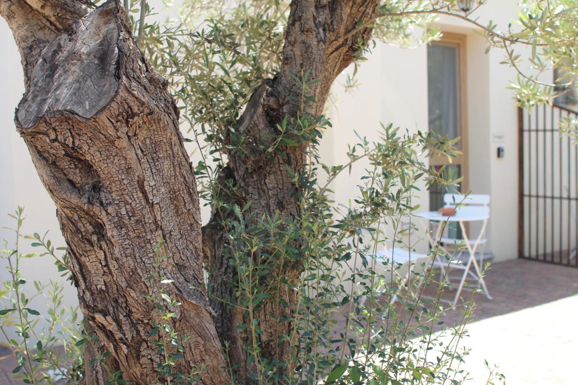 Giobo Rooms Siniscola Dış mekan fotoğraf